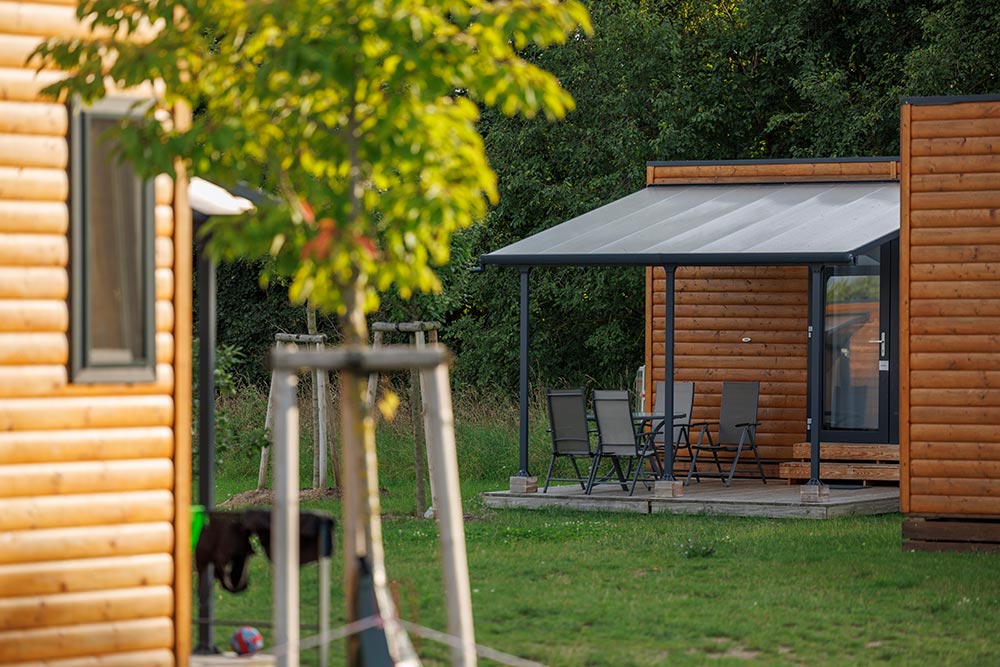 cr3-2368-sonnenkap50B14AD8-84B5-9FA7-52C4-42A1F27BB225