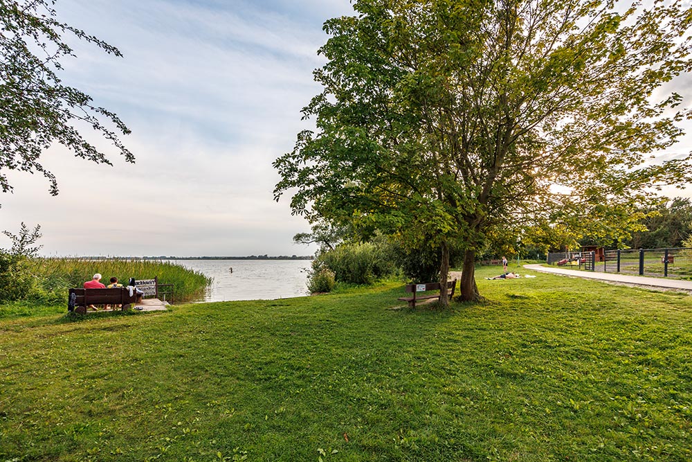 cr3-2469-sonnenkapB1E8F4A3-1A74-3FE1-5F2B-70BB6FF72BBB